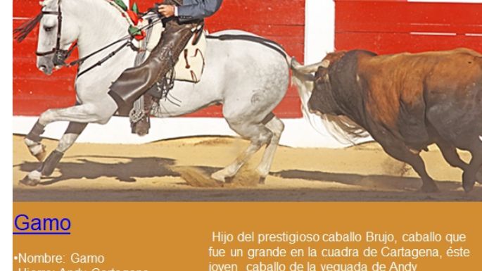 Viene a México el "dream team" de caballos de Andy Cartagena