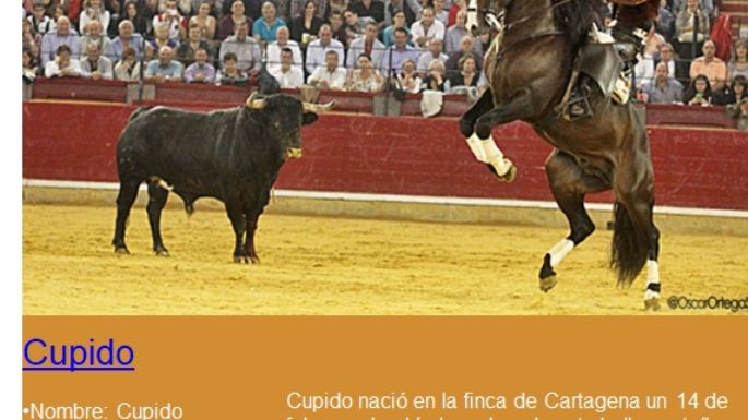 Viene a México el "dream team" de caballos de Andy Cartagena