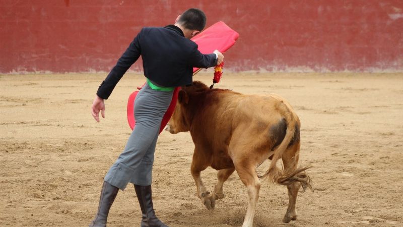 Barcelona la Escuela Taurina sigue formando a nuevos toreros