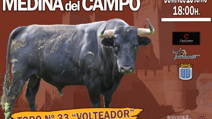 Los toros para los cortes, saltos y quiebros en Medina del Campo