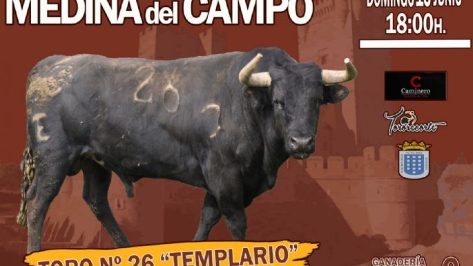 Los toros para los cortes, saltos y quiebros en Medina del Campo