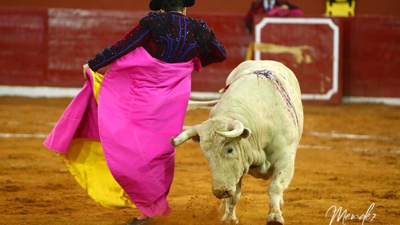 Triunfa la genialidad de Morante y la raza artística de El Payo en San Luis Potosí