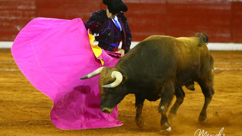 Triunfa la genialidad de Morante y la raza artística de El Payo en San Luis Potosí