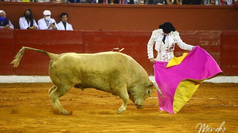 Triunfa la genialidad de Morante y la raza artística de El Payo en San Luis Potosí