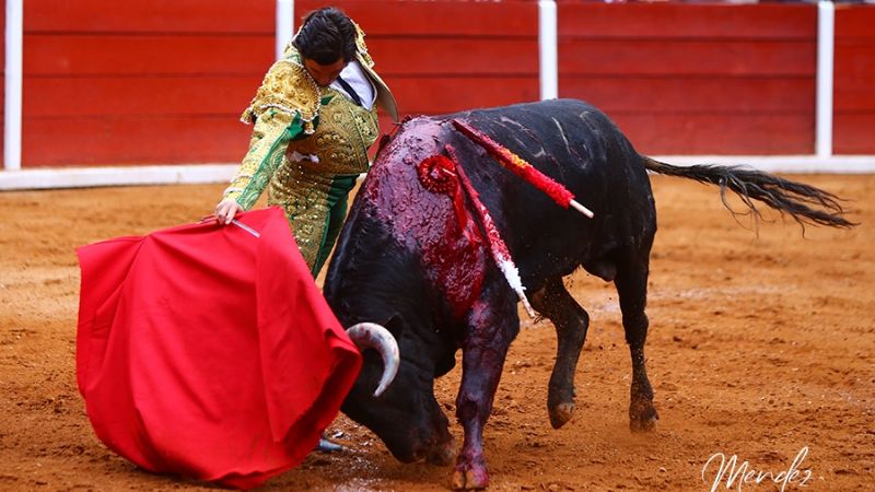 Merecidas orejas para “El Zapata” y Flores en Tlaxcala