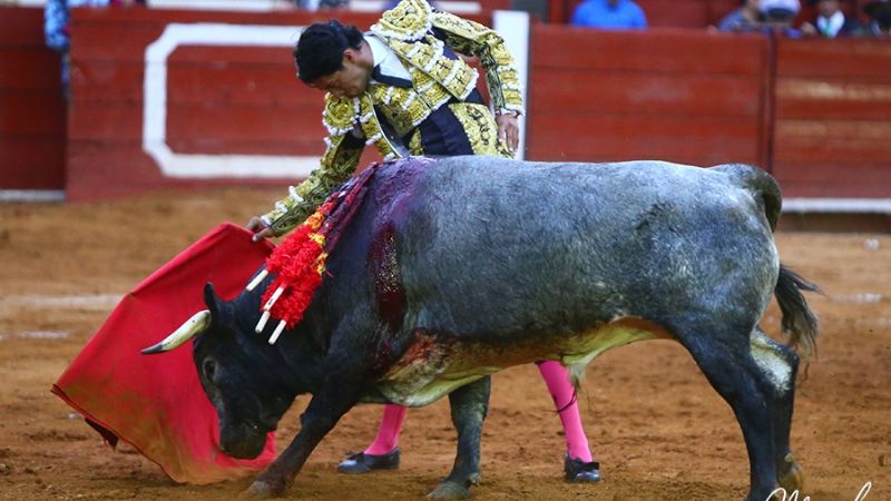 Merecidas orejas para “El Zapata” y Flores en Tlaxcala
