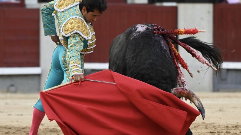 Una nueva zurda a seguir
