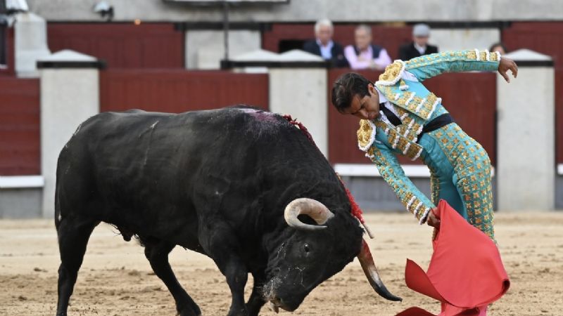 Una nueva zurda a seguir