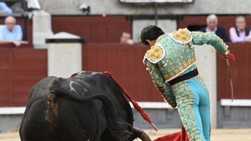 Una nueva zurda a seguir
