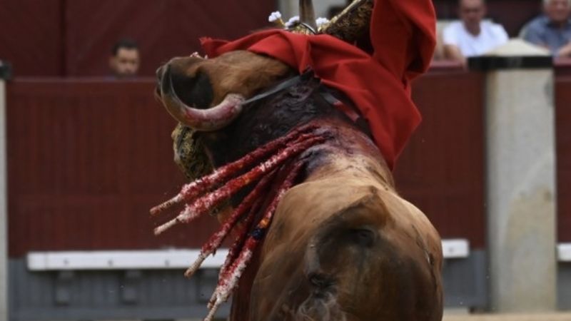 Un “Huracán” de brisa fresca