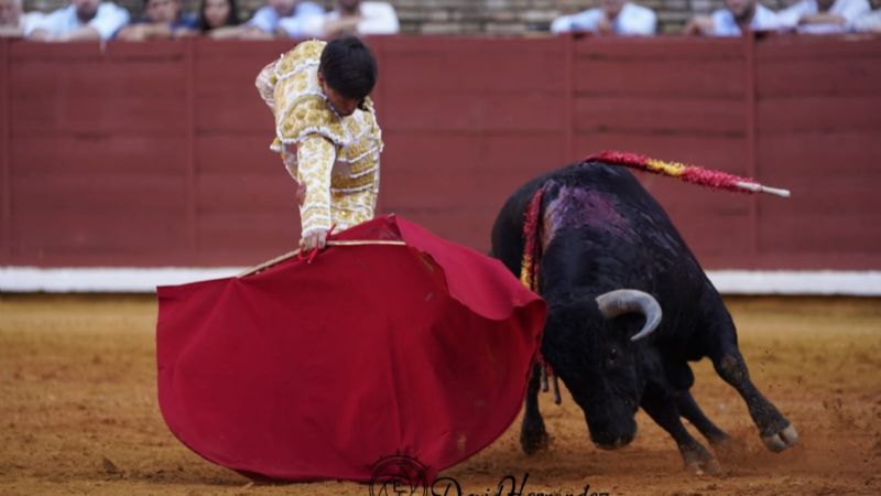 Marcos Linares y González Écija, oreja en Córdoba
