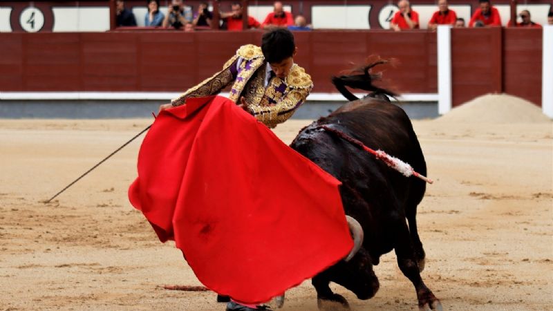 Álvaro Alarcón: Presentación y Puerta Grande en Las Ventas
