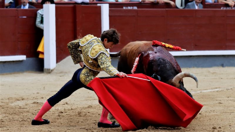 Álvaro Alarcón: Presentación y Puerta Grande en Las Ventas