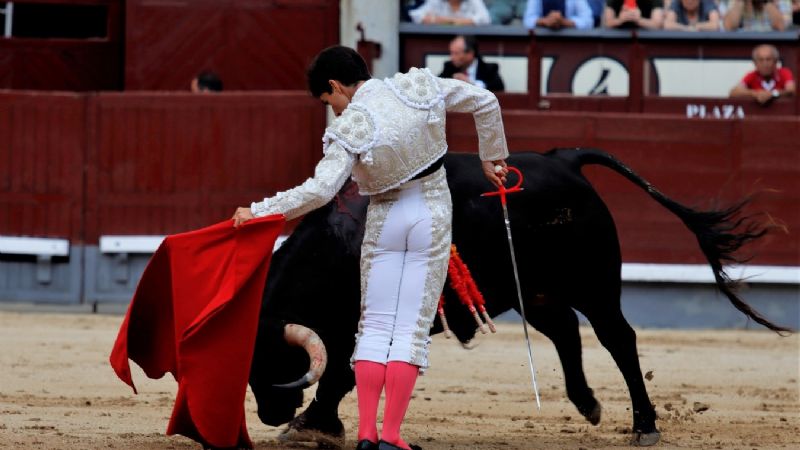 Álvaro Alarcón: Presentación y Puerta Grande en Las Ventas