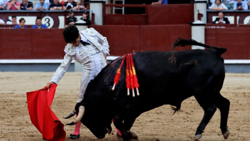 Álvaro Alarcón: Presentación y Puerta Grande en Las Ventas