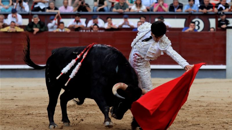 Álvaro Alarcón: Presentación y Puerta Grande en Las Ventas