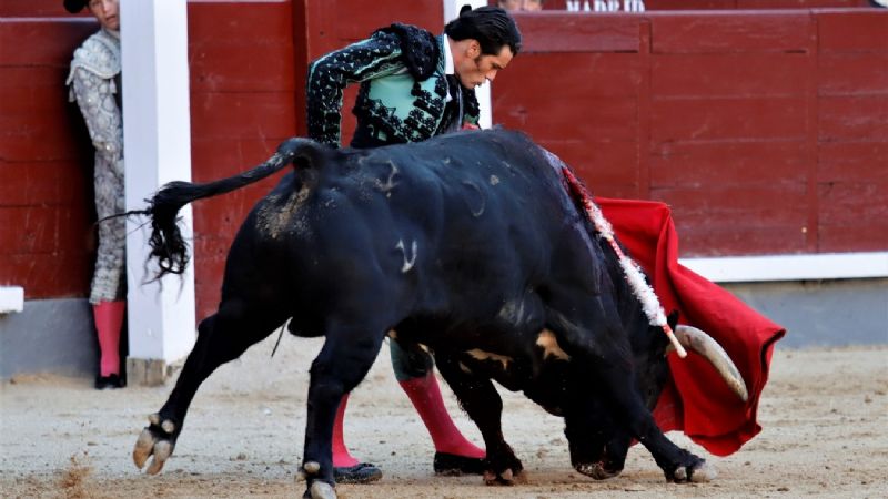 Tenues luces de Garrido y Luque ante la mansada salmantina