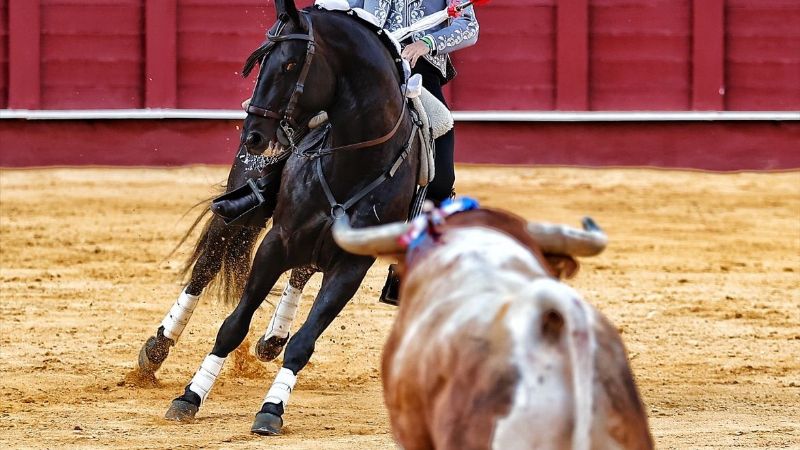 Ferrer Martín y Guillermo Hermoso triunfadores en Málaga