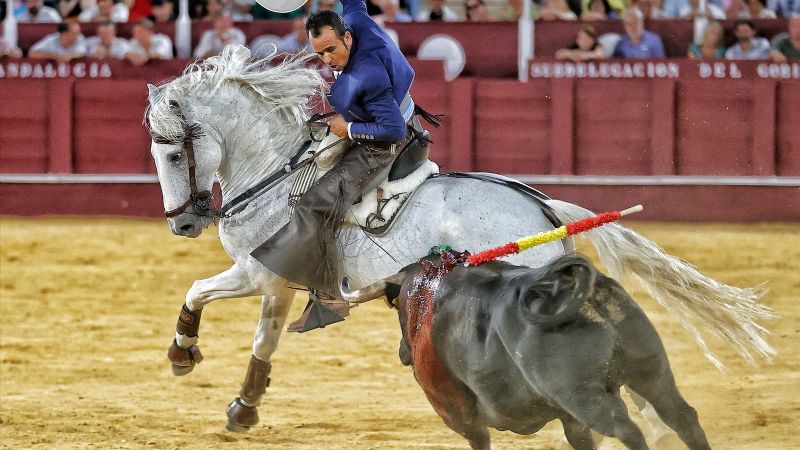 Ferrer Martín y Guillermo Hermoso triunfadores en Málaga
