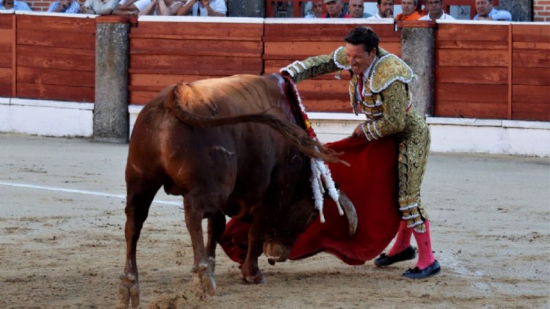 Luque y Javier Cortés puerta grande en El Espinar