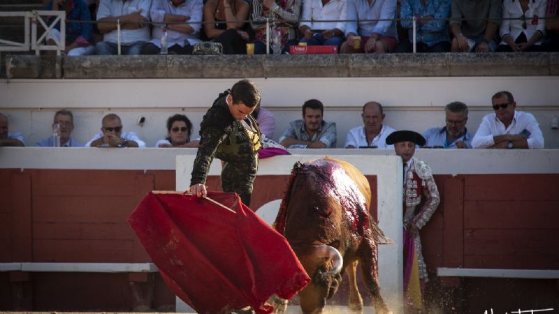 Aguado pone la distinción en la tarde al cortar una oreja