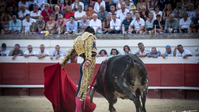 Aguado pone la distinción en la tarde al cortar una oreja