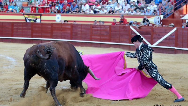 Grave percance de Castaño en una tarde para olvidar en Cenicientos