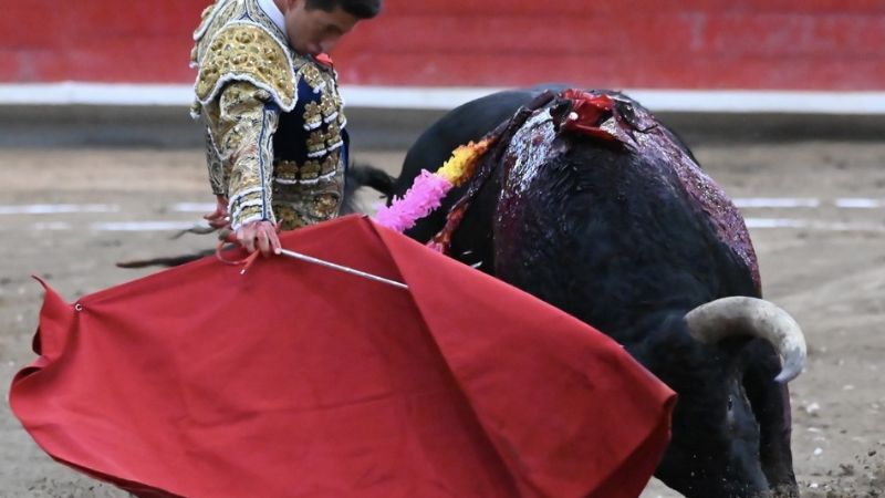 Gutiérrez y Saldívar convencen en Teziutlán