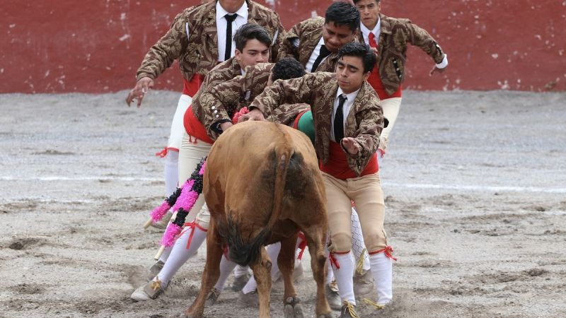 Juan Querencia corta un rabo en Chilcuautla