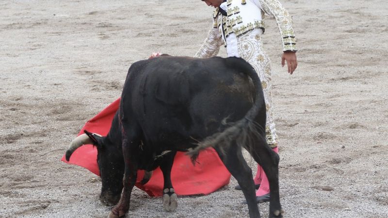Juan Querencia corta un rabo en Chilcuautla