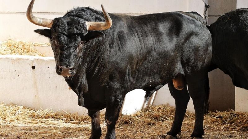 Orden de lidia de los toros de Pallarés y Fuente Ymbro para Málaga