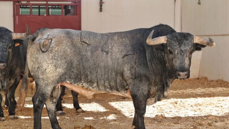 Orden de lidia de los toros de Pallarés y Fuente Ymbro para Málaga