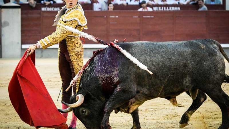 Un vestido de torear de Andres Roca Rey subastado por 30.000€ en la Gala Starlite