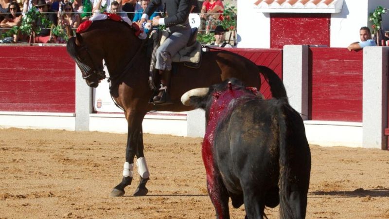 ¿Quien da más? Duelo entre jinetes a hombros en Guijuelo