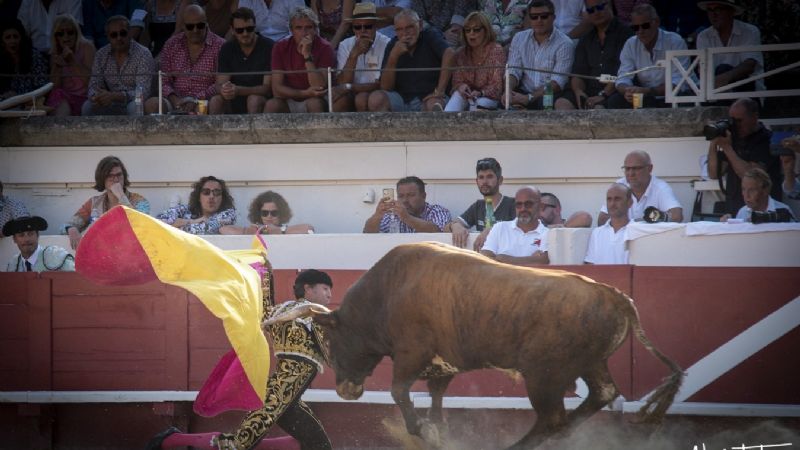Puerta Grande para un inmenso Rubén Pinar que desoreja a su lote