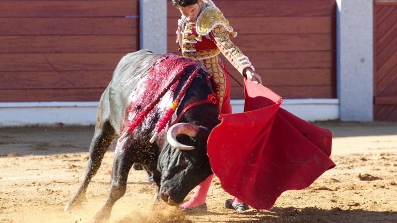 José Garrido y Diosleguarde, a hombros en Guijuelo