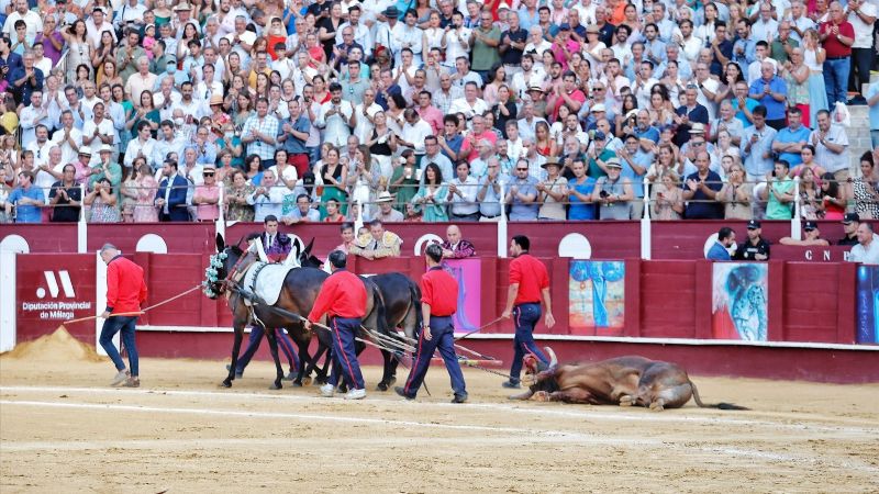 Triunfo rotundo de Roca Rey en el cierre de la Feria de Málaga