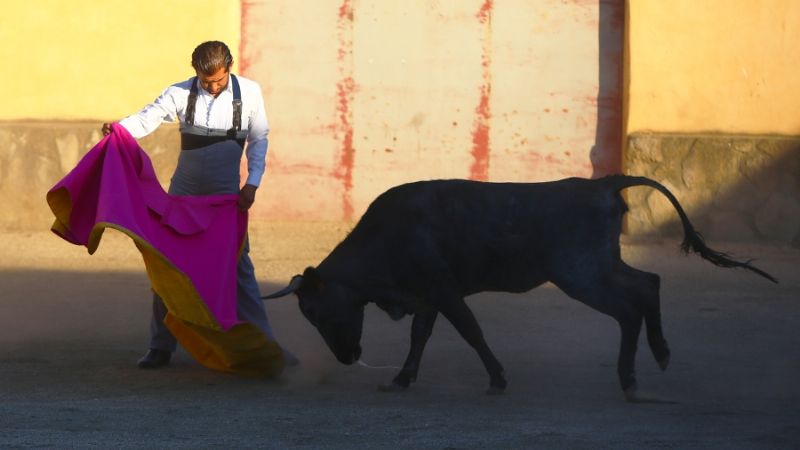 Preparación de Joselito Adame en la ganadería de Victorino Martín (Fotos y Video)