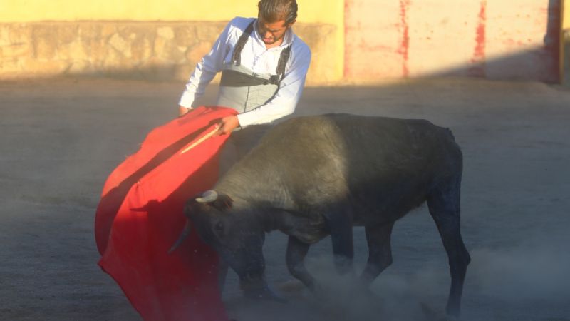 Preparación de Joselito Adame en la ganadería de Victorino Martín (Fotos y Video)