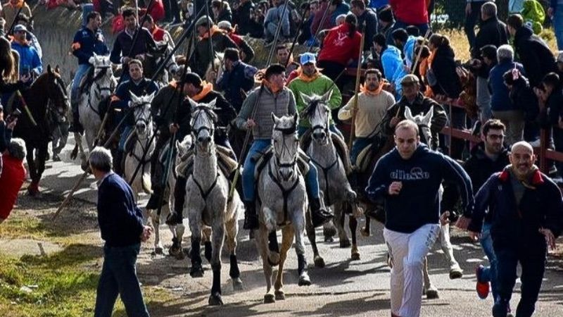 Exitoso encierro a caballo el de hoy en Ciudad Rodrigo