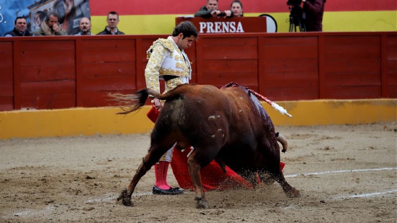 Fernando Plaza, Puerta Grande, el día de su alternativa en la Copa Chenel