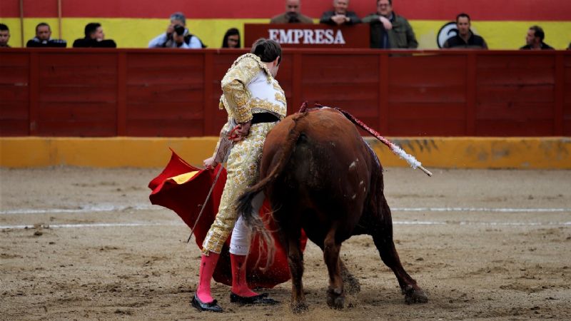 Fernando Plaza, Puerta Grande, el día de su alternativa en la Copa Chenel