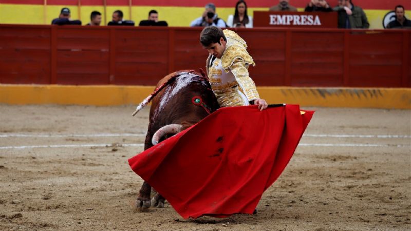 Fernando Plaza, Puerta Grande, el día de su alternativa en la Copa Chenel