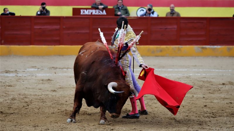 Fernando Plaza, Puerta Grande, el día de su alternativa en la Copa Chenel