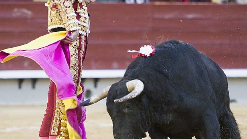 Tomás Rufo y Diego Ventura, brillante cierre de Castellón