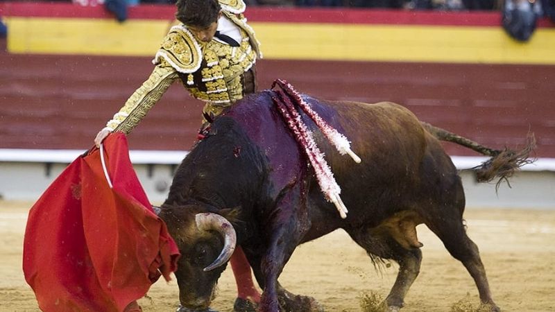 Castella se fractura la apófisis transversa de la vértebra D4