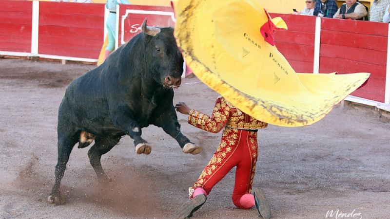 “Sinfonía” al natural de Juan Querencia en la quinta novillada del serial en la San Marcos