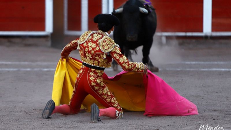 “Sinfonía” al natural de Juan Querencia en la quinta novillada del serial en la San Marcos