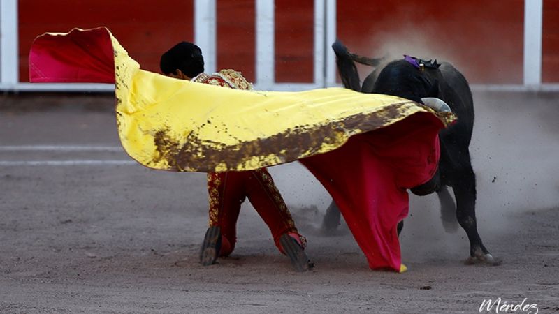 “Sinfonía” al natural de Juan Querencia en la quinta novillada del serial en la San Marcos