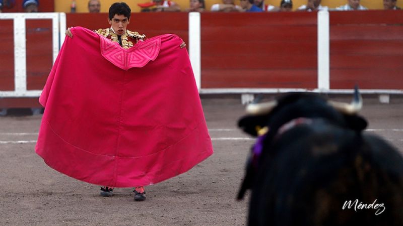 “Sinfonía” al natural de Juan Querencia en la quinta novillada del serial en la San Marcos